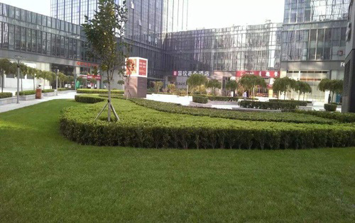 国投财富广场内景